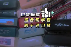 适合初学者的十孔口琴 口琴推荐 618口琴攻略#布鲁斯口琴