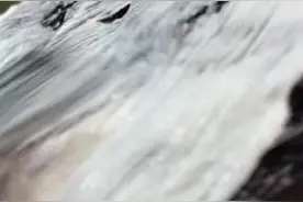 #搞笑视频 染发系列集（一）😂视频封面