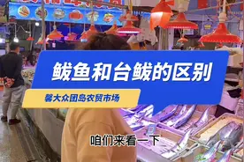 鲅鱼与鲐鲅鱼的区别，学会了吗？#海鲜原产地视频封面