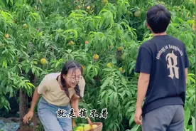 早知道今天就不去摘桃子了#田园生活 #记录生活视频封面