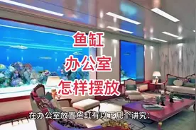 在东莞鱼缸在办公室应该怎样摆放？摆放鱼缸有什么讲究视频封面