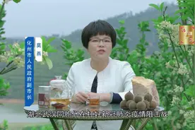 化州橘红宣传视频#化橘红 #化州橘红 #我的乡村生活 #三农视频封面