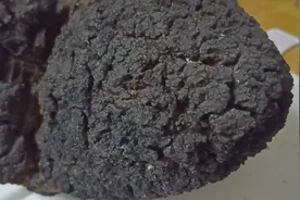 精品长白山野生桦树茸，降血糖血脂血压，提高免疫力，抑制癌细胞