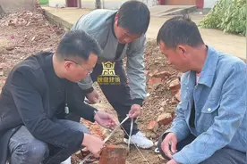 兄弟两家宅基地放线开挖地基#农村自建房 #记录建房过程视频封面