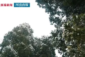 缅怀！鲁山县因公殉职民警徐远东遗体告别仪式举行图片