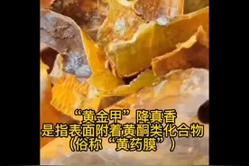 海南降真香黄药膜，主要成份含有黄酮类物质。香气扑鼻，凉甜醇和视频封面