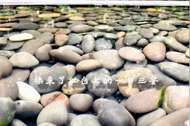 菩萨低眉，观的是自己，不是众生。 多看看自己，少打扰别人！