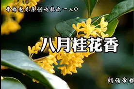 帝都龙哥原创诗歌之一七O         八月桂花香视频封面