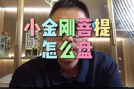 小金刚菩提怎么盘#金刚菩提 #小金刚菩提视频封面