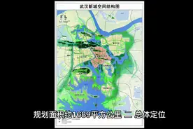 武汉新城规划简介#城市规划 #武汉同城 #大数据让我们相遇视频封面