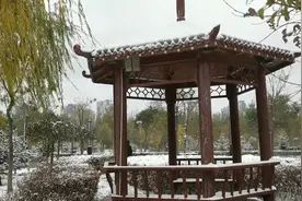 2021 银川第一场雪 #玩雪啦 #最美雪景视频封面