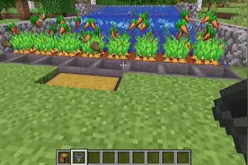 我的世界全自动灌溉农场 保姆级教学 #我的世界大佬俱乐部