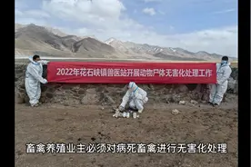 动物检疫视频封面