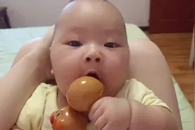 NB码到M码， SS型到S型， 52码到73码， 5.6斤到14斤，