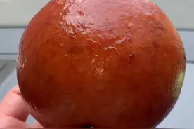 掐指一算，五行缺肉#表情包 #副驾驶吃零食视频封面
