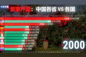 苹果产量：中国各省VS世界各国 山东陕西的地位一下子就提升了视频封面