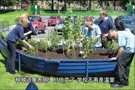 北航404名学生被退学处理，教育部严肃表态：学生不对自己负责视频封面