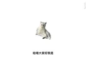 为什么一年是365天？#世界真相 #科普 #每天跟我涨知识 #冷知识