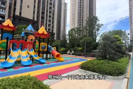 鄂州的吴都乔街，园博园，动物王国来了#鄂州 #dou来鄂州视频封面