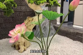 为了吃酸汤水饺 去做个了足疗##按摩放松 #养生局  #足道视频封面