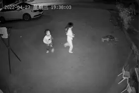 熊孩子逗狗🐶狗🐶#监控下的一幕 #抓拍精彩瞬间视频封面