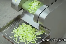多功能电动切菜机，商用食堂用全自动蔬菜切菜机视频封面