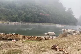 水里的白衣女子，我在水边苦苦候了你一夜，终是无缘……视频封面