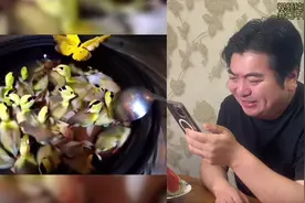 这就是吃了菌子后的反应么？ #自古评论区出人才 #笑死在评论区视频封面