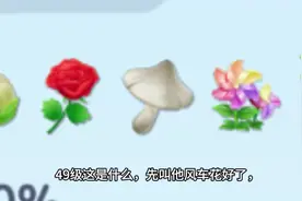 蛋仔农场41-50级农作物曝光：香菇，哈密瓜，白菜，蓝莓，竹笋