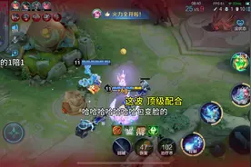 论陪玩的自我修养  #王者 #陪玩视频封面