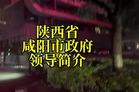 陕西省咸阳市政府领导简介#陕西dou知道 #陕西 #咸阳视频封面