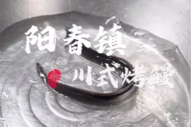 #江安美酒佳肴”阳春镇川式烤鳗鲜香美味，“食”不待我视频封面