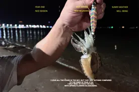 芭提雅夜钓鱿鱼🦑，鱿鱼刺生必须是现钓现吃[呲牙][呲牙][呲牙]视频封面