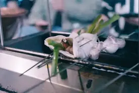 我爱淄博！我爱山东！#炙热计划 #石磊4rock #幕后花絮视频封面