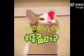 左邓异地恋vlog第二弹（小邓篇）@#左邓 #日常碎片 #cp视频封面