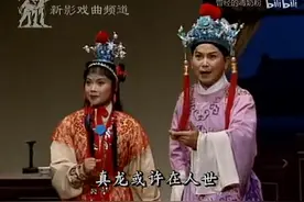 【江苏锡剧】全本《狸猫换太子》 袁梦娅  小王彬彬视频封面