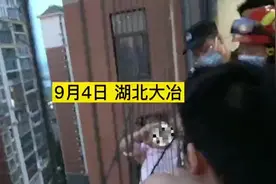 四岁女童反锁在家 竟然攀爬到18楼窗外图片