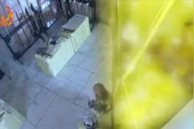 孙悟空终于得到定海神神针 取名 金箍棒视频封面