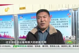 全省首个！临沂融入全国冷速冻食品集约化运输体系，能省10个小时视频封面