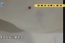 佛山一女子住酒店，一觉睡出一堆吸血虫子，床单上枕头上全部都是视频封面