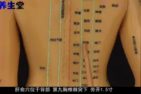 肝俞穴功效：疏肝利胆，将火止痉。主治：咳嗽，口苦，眼疾等视频封面