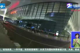 后排乘客不系安全带被罚50元  这钱该谁出？