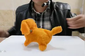 拆解电动小狗，差点拼不回去