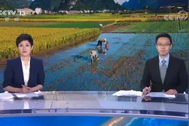 今日12时58分迎来“芒种”节气 一年中最忙的时节快来了