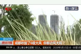 成都吹起了6级大风，你那边风大吗？清凉许多也要注意防范事故视频封面