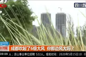 成都吹起了6级大风，你那边风大吗？清凉许多也要注意防范事故视频封面