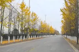 昆山花桥有很多京东的物流仓库，那么京东物流的工作强度怎么样呢视频封面