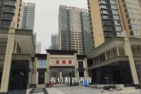 南阳曾经烂尾楼之王，凯璟清华园终于复苏了，天涯哥带你逛一逛视频封面