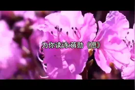 为你读诗经典散文诗欣赏蒋勋《愿》心中有爱所看到的一切是美好的视频封面