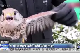 青岛地铁8号线传来好消息，过海地铁隧道贯通，预计今年年底通车视频封面